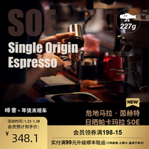 (New) FISHER Guatemala Pandora Sun Pakamala SOE Italian Coffee Bean N3