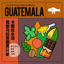 FISHER deep roasting Guatemala Susio Brothers Manor boutique coffee beans single-order D227G