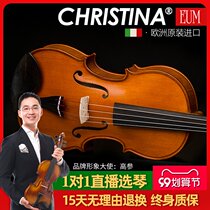 EUM3000 European original imported handmade solo grade Viola (size 406mm)16 inch