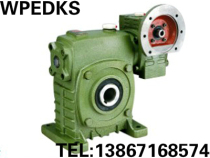 Factory direct sales WPEDKS WPEDKA155-250#two-stage worm gear reducer reducer gearbox