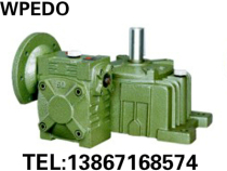 Factory direct WPEDO WPEDX 135-200# Double-stage worm gear reducer gearbox