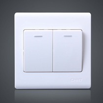 Chint Two Two Open Double Open Two Open Single Control Switch Panel Wall Switch Switch Socket NEW7D
