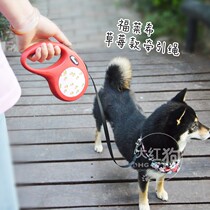 Walking dog is enjoying flexi forlich strawberry section shrink traction rope for dog chain automatic telescopic dog rope