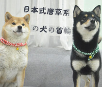 Japanese Department of Tang Grass dog Dog Eye first round Japanese chai dog accessories Puppy dog and wind collar kitty collar adjustable pure cotton