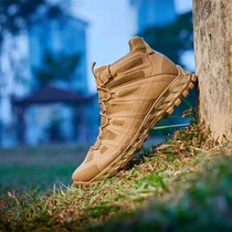 Italian AKU Outdoor Mid -Hobbing Shoes wear -resistant anti -slip ultra -light waterproof tactical boots climbing and breathable combat boots
