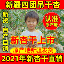 Xinjiang hanging apricot four-group tree dried apricot hanging dried special apricot 2kg no natural apricot almond Almond