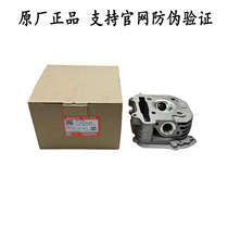 VM100 cylinder head assembly HJ100T-5 HJ100T-5A HJ100T-5C HJ100T-12 cylinder head Factory