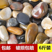 Natural rain stone pebbles fish tank landscaping rough white stone multicolored stone Goose soft stone pebbles colored stone