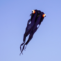 Kaiyuan software big golden fish kite breeze easy fly without skeleton anti-wind adult high-end 2020 new beginner