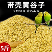 Bird food New yellow millet small and medium-sized parrot feed tiger skin Xuanfeng Peony with shell millet food grain 5 pounds