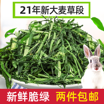 2 packs of feed grain Barley grass section 500g Dutch pig Rabbit Chinchilla Guinea pig Hay coarse fiber