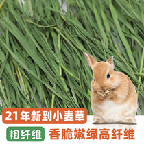  21-year-old new excellent hay drying wheatgrass Rabbit food Chinchilla Dutch pig feed forage Gross weight 1000g