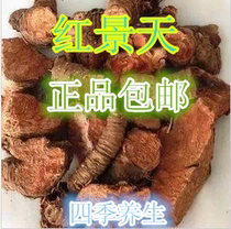 The whole Rhodiola large flower Rhodiola Tibetan natural tea non-capsule Chinese herbal medicine anti-high anti-500 grams