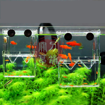  Shoot 2 pieces of high transparent acrylic isolation box incubation box breeding box juvenile fish eggs