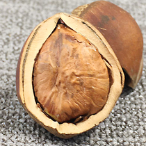 Come to Laifu northeast specialty big hazelnut fried big fruit cooked Zhenziping Ou Zhenzi fresh nuts