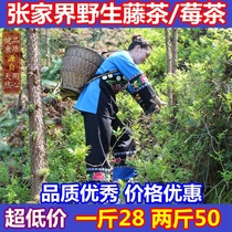 Hunan Zhangjiajie wild new Vine tea leaves strawberry tea Tujia Manna moisturizing throat