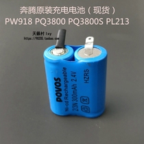 Pentium shaver original battery PW918 PQ3800 PQ3800S PL213 new spot