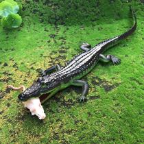 Simulation soft plastic crocodile static animal model toy sound plastic plastic ocean crawling Emperor Crocodile childrens gift