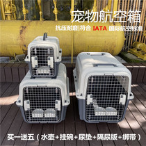 Air China pet air box IATA standard box cat and dog check out large dog air freight metal iron net