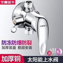 Solar mixing valve cold tropical water surface water filling shower mixing valve water heater shower old-fashioned with switch