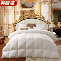 Antarctic official flagship Star hotel duvet 95% goose down quilt single double spring and autumn quilt 8kg winter