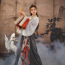 Original Sennu tribe Chinese style ethnic costume Han element print cross-border skirt cross collar top two-piece set