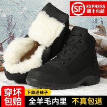 New lightweight cold boots mens Northeast wool boots winter plus velvet padded warm cotton shoes dad shoes High