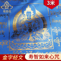 Thousands of wisdom scriptures longevity wisdom tortoise gold verses Tibetan five-color scriptures wind horses flag long 10 sides 3 meters long