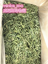 2020 new alfalfa alfalfa grass Chinchilla pasture rabbit grain feed hay weight 1000G Special