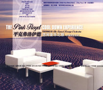 Pink Floyd Leisure Music Journey Sunset Sofa Orchestra (CD)