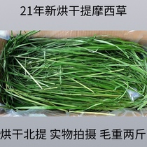 2021 drying up to mention Moshe grass hay hay rabbit grain dragon cat grass Dutch pig feed guinea pig herd North Timao 2 catties