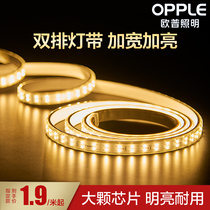 Op LED light with living room ceiling colorful color change double row light strip patch highlight horse racing soft light 220