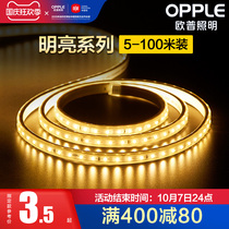 Op light with led neon strip colorful color changing Line light living room ceiling decorative patch super bright light strip