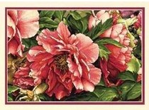 Cross stitch source file electronic drawing re-drawing-Dim35298 Coral Peonies Coral Peonies