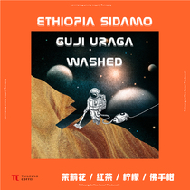 2020TOH Champion Ethiopian guji guji Sidamo Ulaga Wash Hand Cown Coffee Beans 227