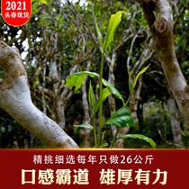 (2021 head Spring ancient tree tea) old class chapter next door pot old village five hundred years old tree pure material only 26kg