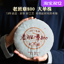 10 years old class chapter in 800 years old ancient tree head spring big single plant every leaf is a thousand li pick a taste