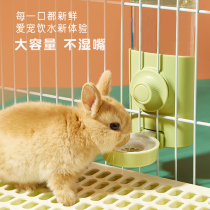 Rabbit Drinker Special Kettle Guinea Guinea Golden Silk Bear Sink Small Darling without wet mouth Large capacity 600ml