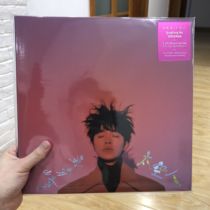 (Limited time special price) Wu Qingfeng astronaut genuine vinyl 2LP big song book photo X-Ray