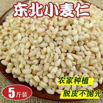 Northeast wheat kernel 5kg of peeled high quality new wheat kernel rice shell grain cooking porridge with rice farm home