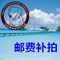 Cat dog supplies food make-up shipping fee postal difference