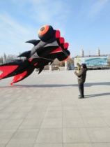 Weifang Super Nylon large-scale soft kite competition good flying goldfish Qingzhou Ma Laoshi factory old shop straight hair