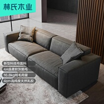 Lins wood Nordic technology fabric sofa soft feather hair Modern simple living room light luxury high-end furniture S040