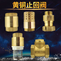 Brass horizontal vertical check valve swing type water meter front check valve return valve check valve copper bottom valve