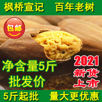 (5kg special) 2021 new bulk Zhuji Torreya Torreya childrens nut snacks