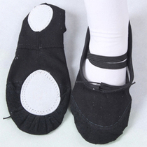 Promotion price dance shoes practice shoes cat claw shoes soft shoes practice shoes belly dance shoes yoga shoes