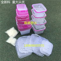 Full new material 2-12kg white plastic fruit picking basket Bayberry basket strawberry portable basket Cherry cherries Mulberry