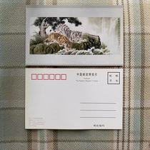 Zodiac Tiger Shuangxiong Picture Drinking Water Pine Waterfall Yao Shaohua Chinese Painting China Post No Postage Postcard