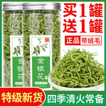 Special class gold and silver flower tea clear fire tea honeysuckle dried flower brewery tea water wild Chinese herbal medicine bulk tea canned