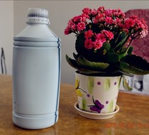 Nanjing gold leaf factory direct sales antique oil to make old water 100 yuan per kilogram of Jiankang production with gold leaf oil